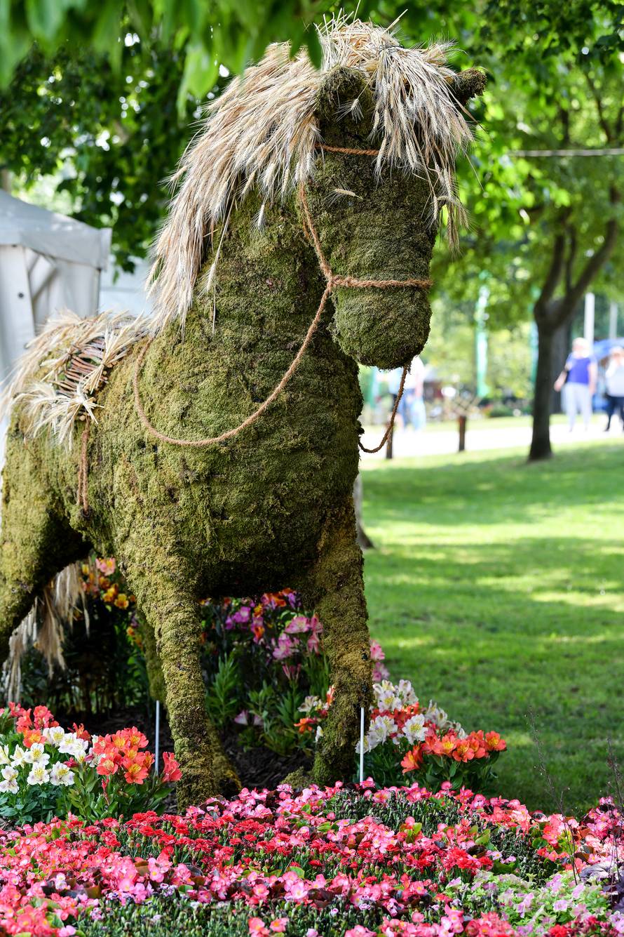 Floraart: Sadnice cvijeća od 2 kune, a za 25 mini vrt u posudi