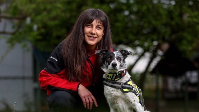 Kutina: Potražni pas HGSS-a Kate spasio je život muškarcu u Lonjskom polju