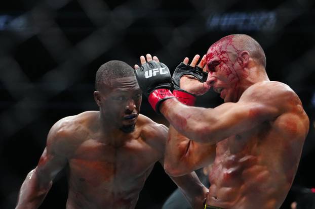 MMA: UFC 323 - Barboza vs Turner