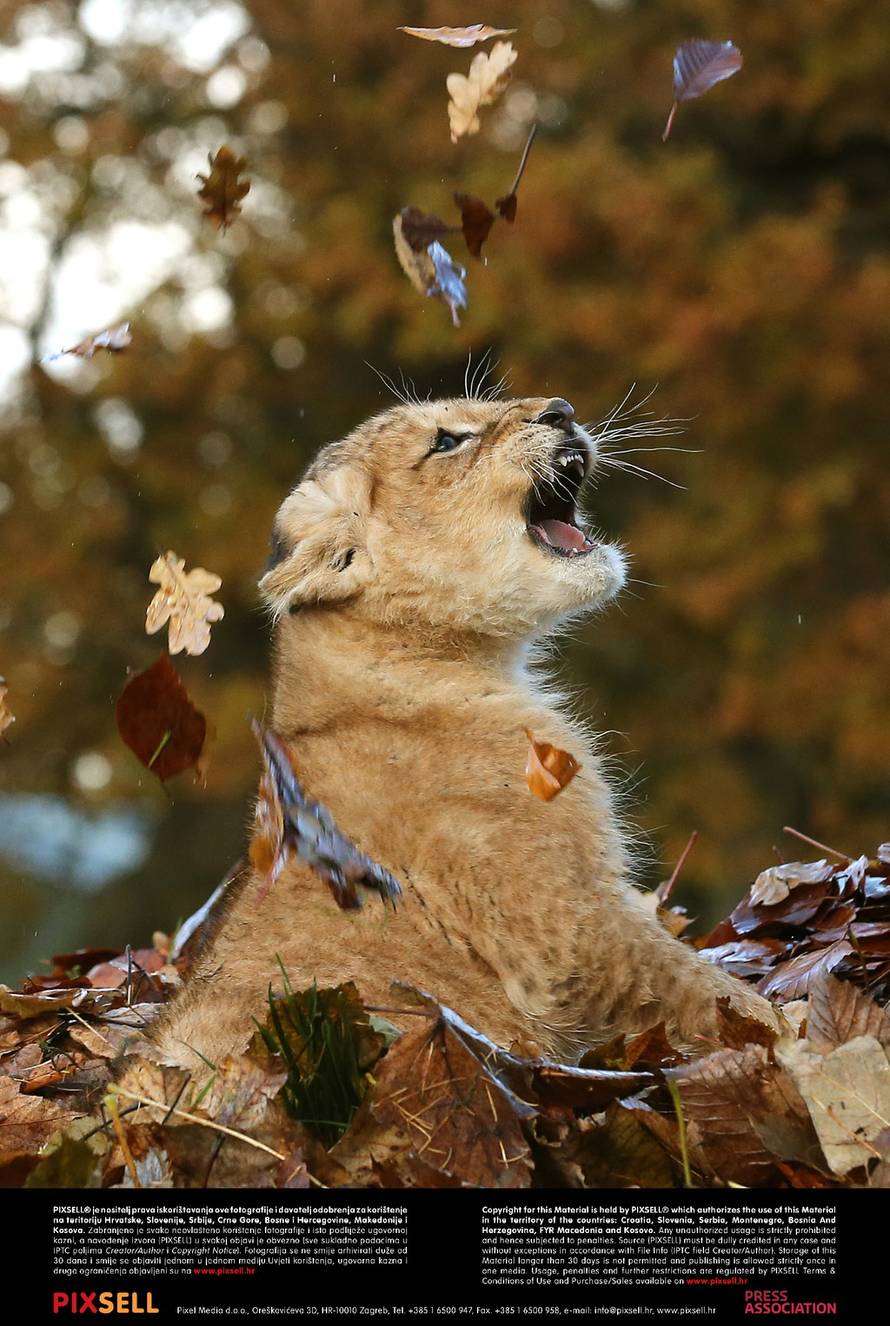 Press Association/Pixsell