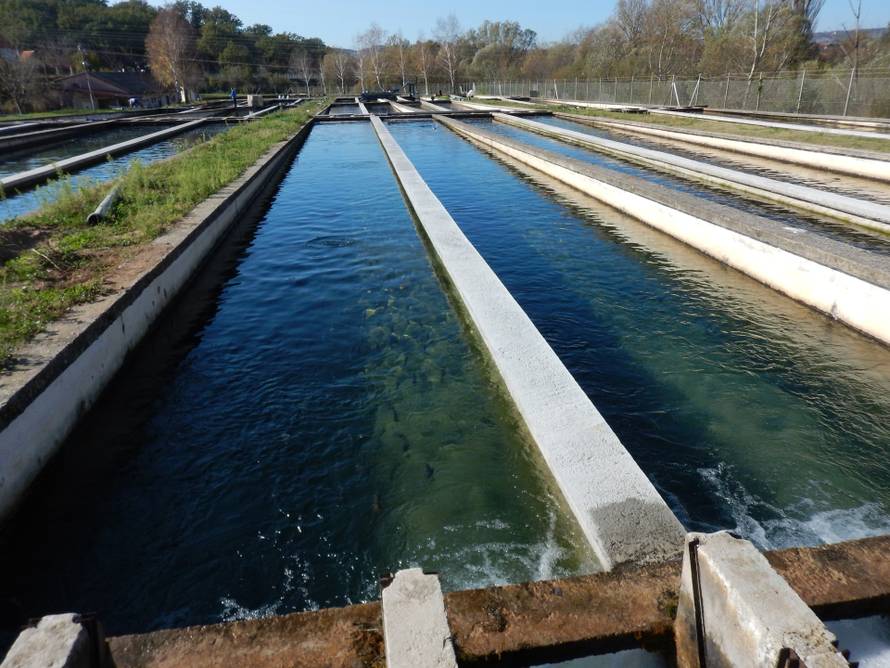 Uzgajamo s razlogom – jedemo s povjerenjem