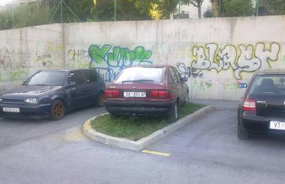 Umjesto na poluprazni parking, parkirao auto na travu