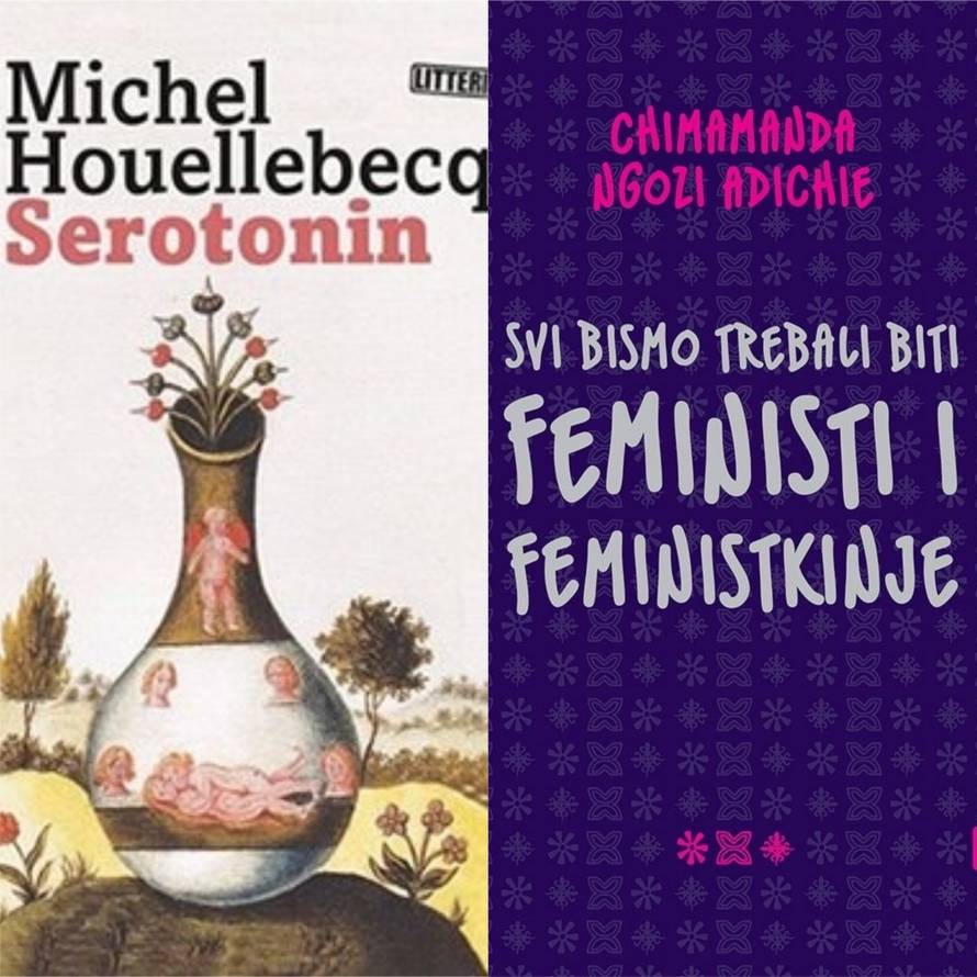 Ngozi borkinja protiv gluposti, a Houellebecq 'zaglupljuje'...