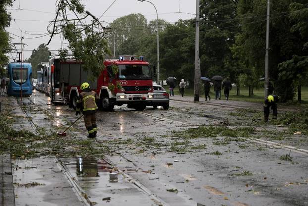 Zagreb: Palo stablo na Maksimirskoj, blokiran promet, vatrogasci na terenu