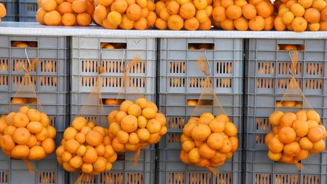 Prodavači mandarina iz doline Neretve stigli u Šibenik