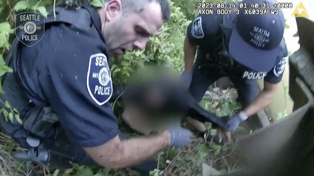 Nova snimka potjere u SAD-u: Policajci trčali za lopovom pa upali među roj ljutitih osa