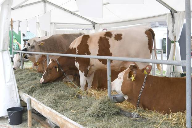 Gudovac: 32. izdanje međunarodnog jesenskog sajma