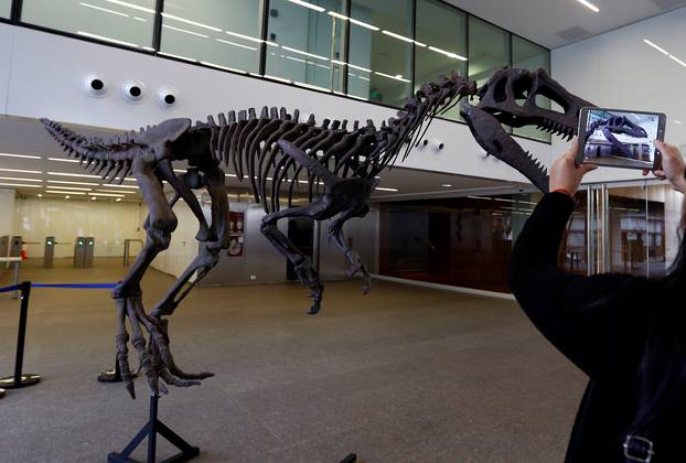 A woman takes photos of a replica of a newly discovered dinosaur that prowled Argentina 90 million years ago in Buenos Aires