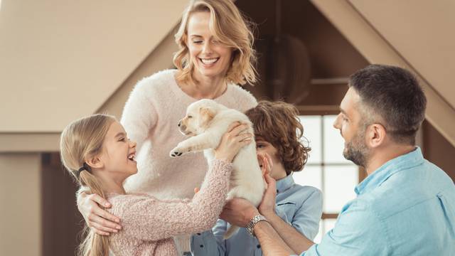 young family with beautiful labrador puppy in front of cardboard house