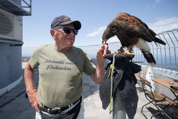 Zagreb: Sova, jastreb i suri orao dočekali su građane na Sljemenu 