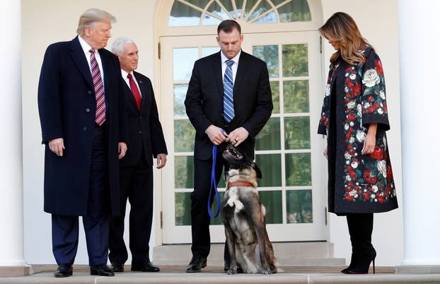 President Trump poses with military dog Conan that participated in Syria al-Baghdadi raid at White house in Washington