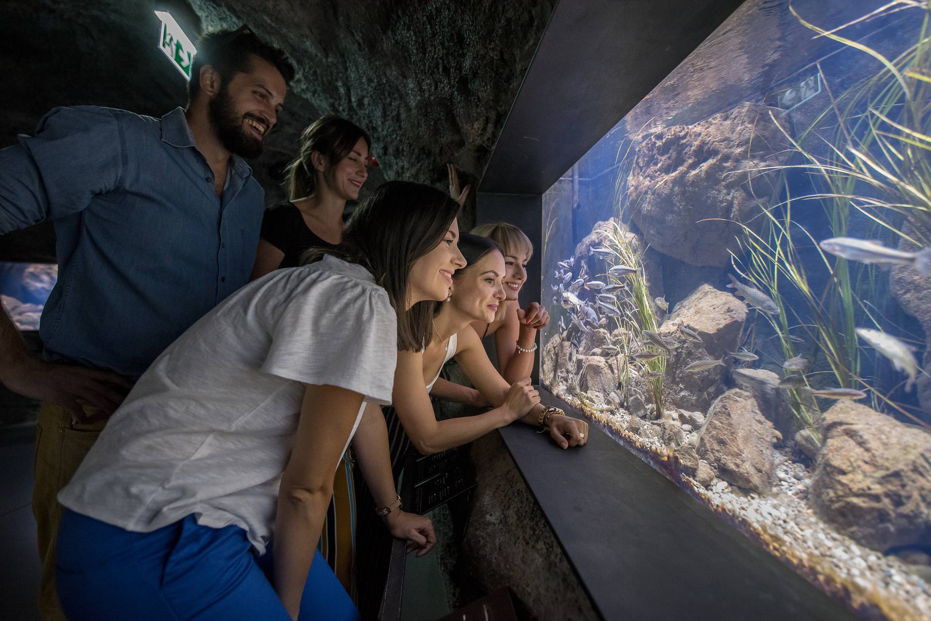 Aquatika-slatkovodni akvarij Karlovac časti besplatnim ulazom u akvarij