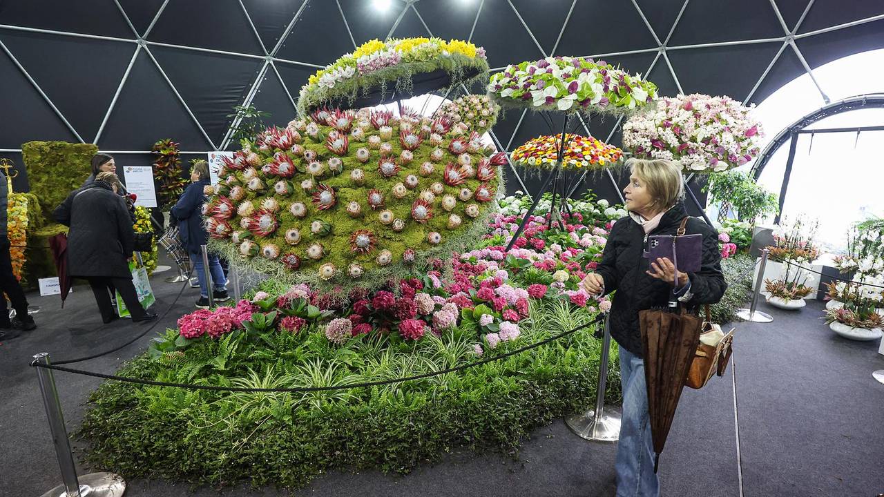 FOTO 59. Floraart na Bundeku: Prekrasni cvjetni prizori svima će uljepšati ovaj kišni dan