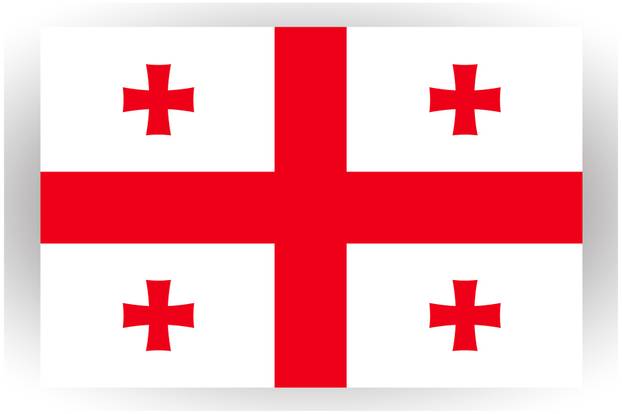 National flag of Georgia. Vector illustration Georgian flag, patriotic symbol of the state