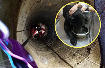 Monstrum kod Karlovca: Bacio psa u bunar dubok 12 metara