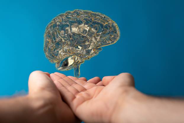 3D rendering of a brain in man's hands isolated on a blue background