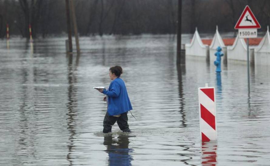 Željko Lukunić/PIXSELL