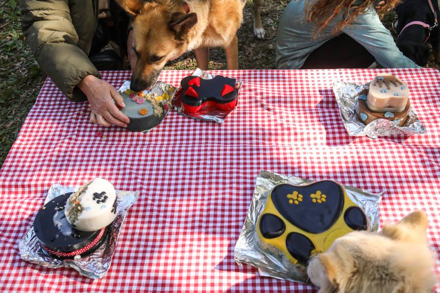 Zelene navike jednostavne su i pristupačne, podsjetili smo se na Ekotlonu i dobro se zabavili!