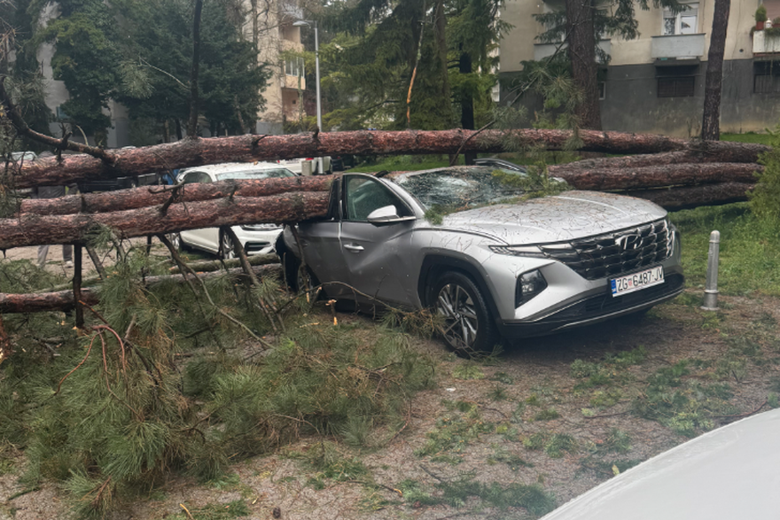 Kaos u Zagrebu: 'Stablo je palo i zdrobilo auto. Grane sam rezao motorkom...'