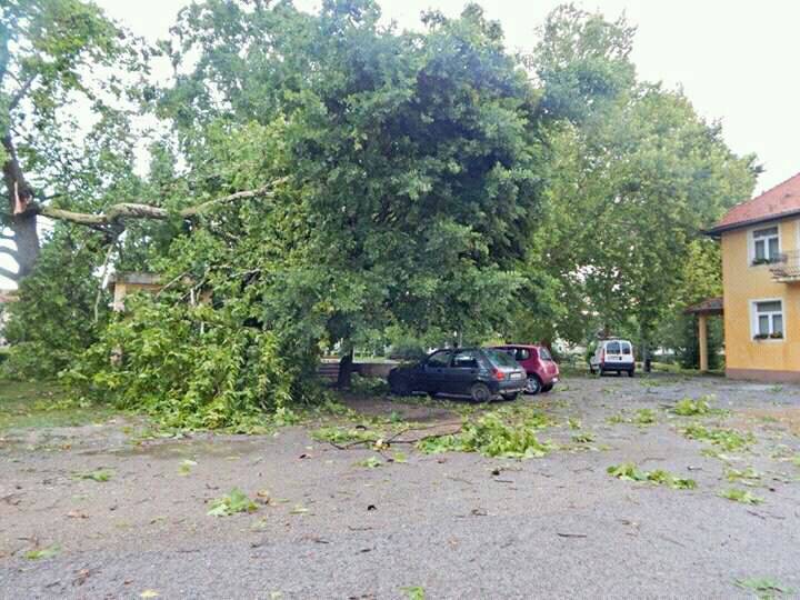 Poplavljen Cres, srušena stabla u Popovači, pijavice u Istri...