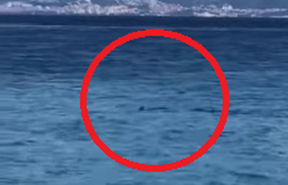 Pogledajte video: Blizu Brača snimila je peraju morskog psa?