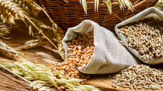 Glavne razlike između cjelovite pšenice i žitarica od cijelih zrna