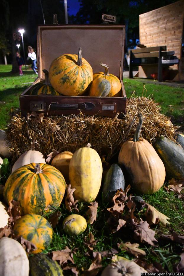 Bučijada u Ivanić Gradu, najveći sajam posvećen buči i njenim proizvodima