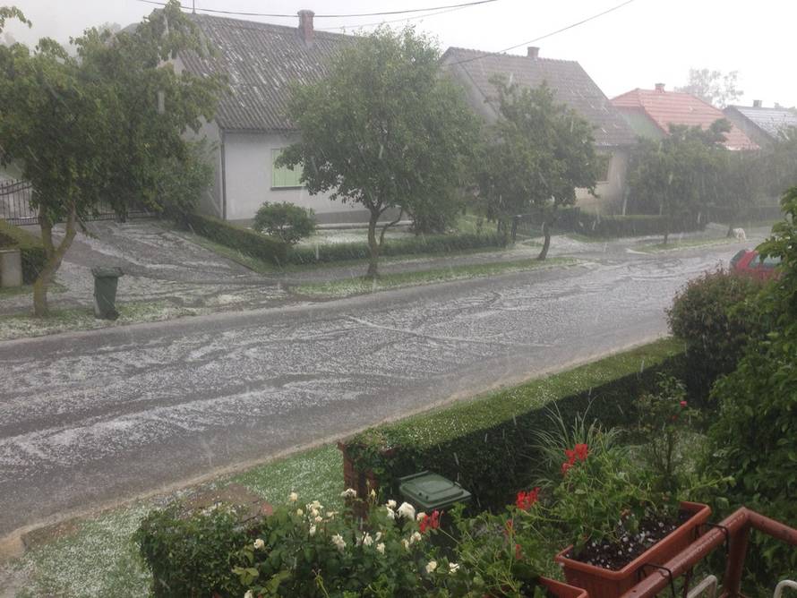 Čitatelj 24sata