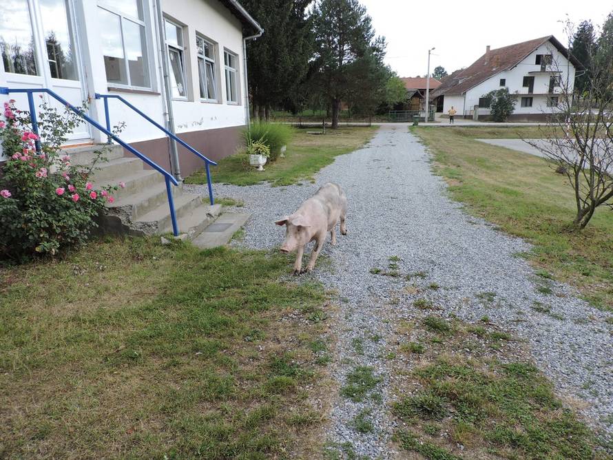 Mihael Hnatyšyn/24sata