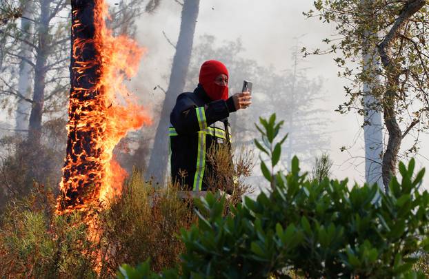 Wildfire in the Var region of southern France