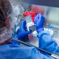 Njemačka dala 'zeleno svjetlo' za testiranje cjepiva na ljudima