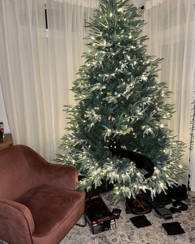 FOTO 'Imam toliko velike grudi da me svi mrze. Nisu umjetne!'