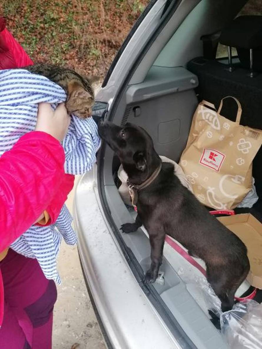 I ljubimci stradali u potresu sada trebaju krov nad glavom