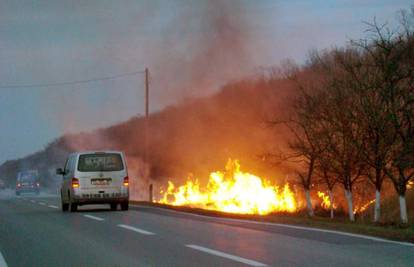 Požar trave zaprijetio je vozačima na magistrali