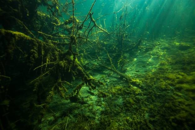 At the bottom of the river