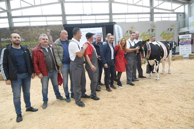 Gudovac: Junica Anabela u vlasništvu Belja proglašena šampionkom sajma holstein pasmine