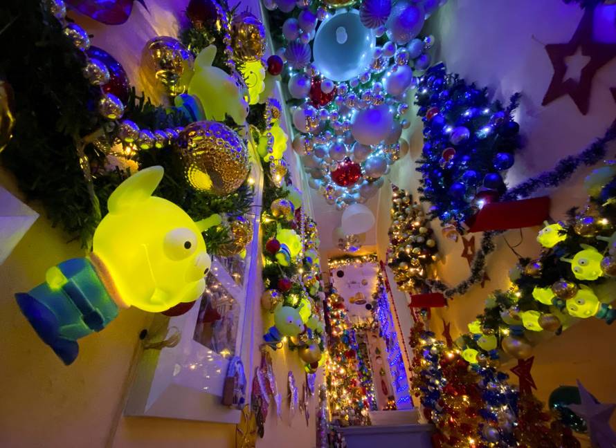 A couple in the German town of Rinteln wins the world record title with their 444 Christmas trees in one home