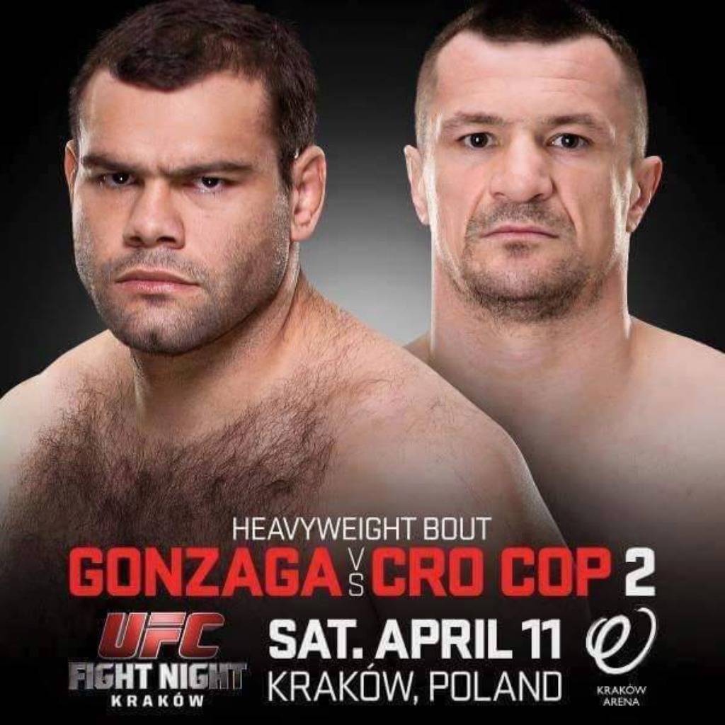 Mirko Cro Cop Filipović/Facebook