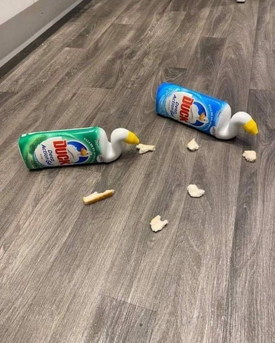 'Moramo početi držati razmak od 2 metra od svojih frižidera'