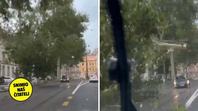 VIDEO Nevjerojatna snimka: Vjetar iščupao ogromnu granu u Zagrebu, skoro pogodila aute