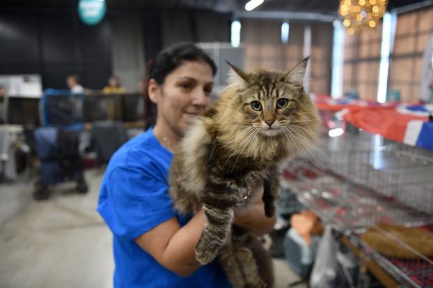 Zagreb: Međunarodna izlozba mačaka privukla brojne posjetitelje u Family Mall