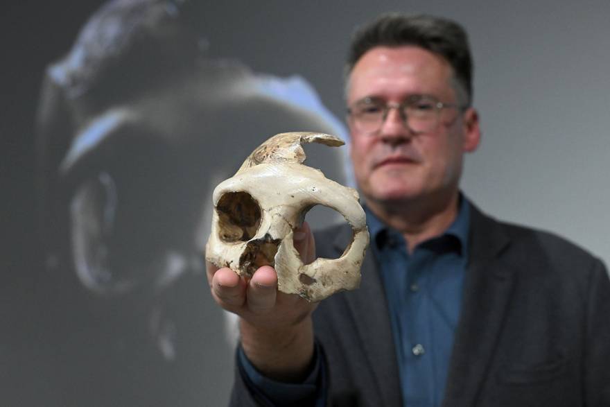 Tajna zagorske Lubanje C: 'Njeni su tajanstveni urezi simbolički'