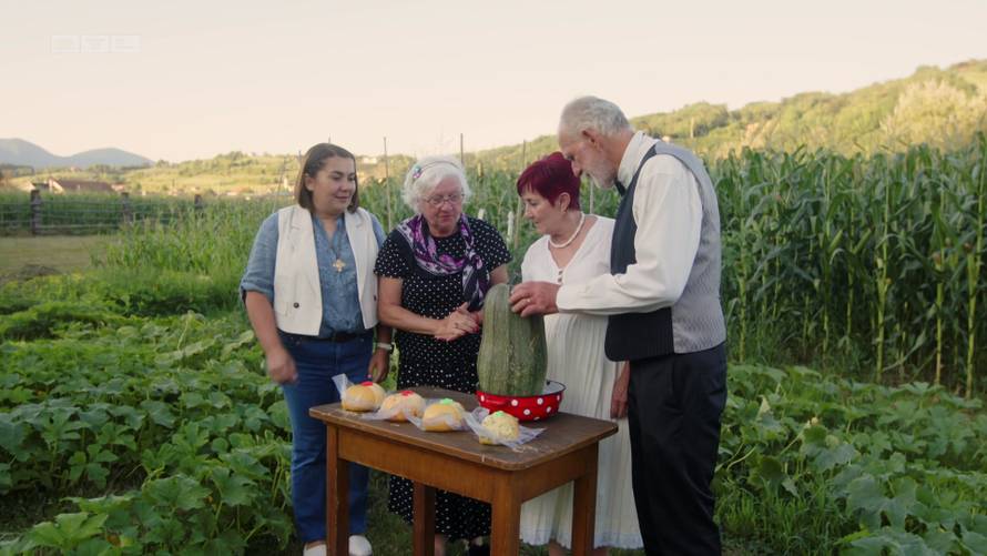 Gledatelji 'Večere za 5' ponovno opleli po Albertu: 'Ovaj profesor previše kalkulira i glumata...'