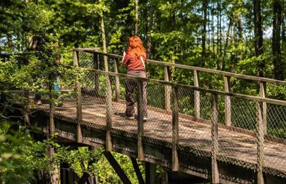 Zelena oaza Hrvatske koju morate doživjeti – Top doživljaji u srcu Bilogore