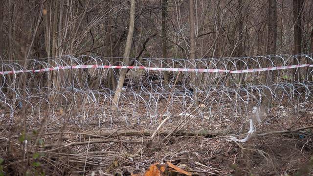 Traže bodljikavu žicu i vojnike na granici, a Njemačka drži da je zaštita granica "legitimna"