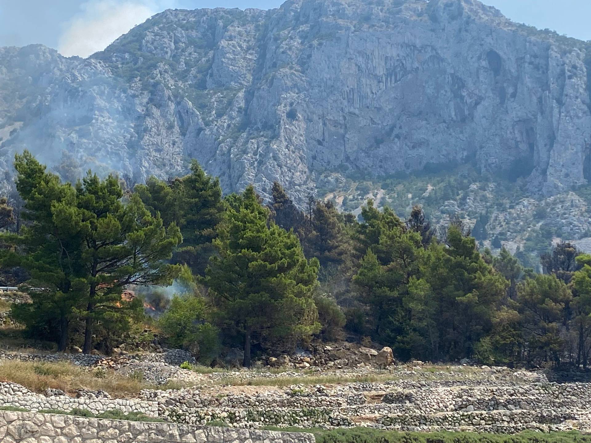 Inferno prohujao Podgorom: 'Vatra nas je okružila sa svih strana, jedva smo ostali živi'