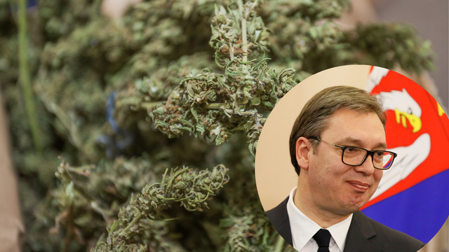 Prijavili srpskog predsjednika Vučića zbog uzgoja marihuane