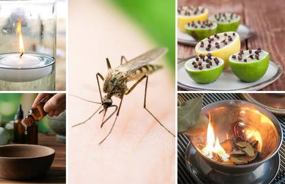 Trikovi kako se riješiti komaraca posve prirodno u kući i dvorištu