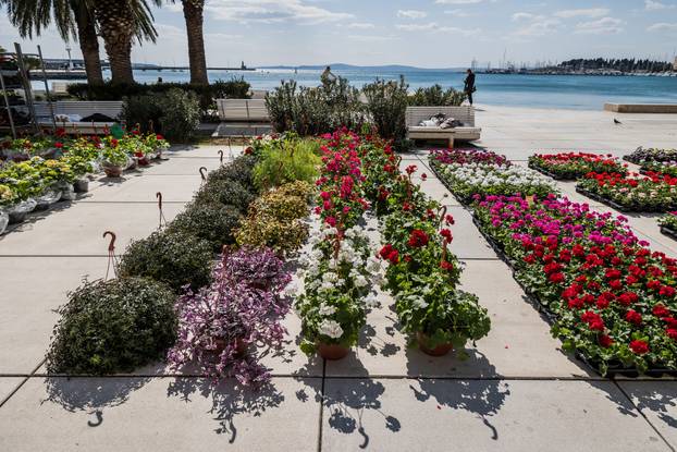 Otvorenje 49. sajma cvijeća u Splitu