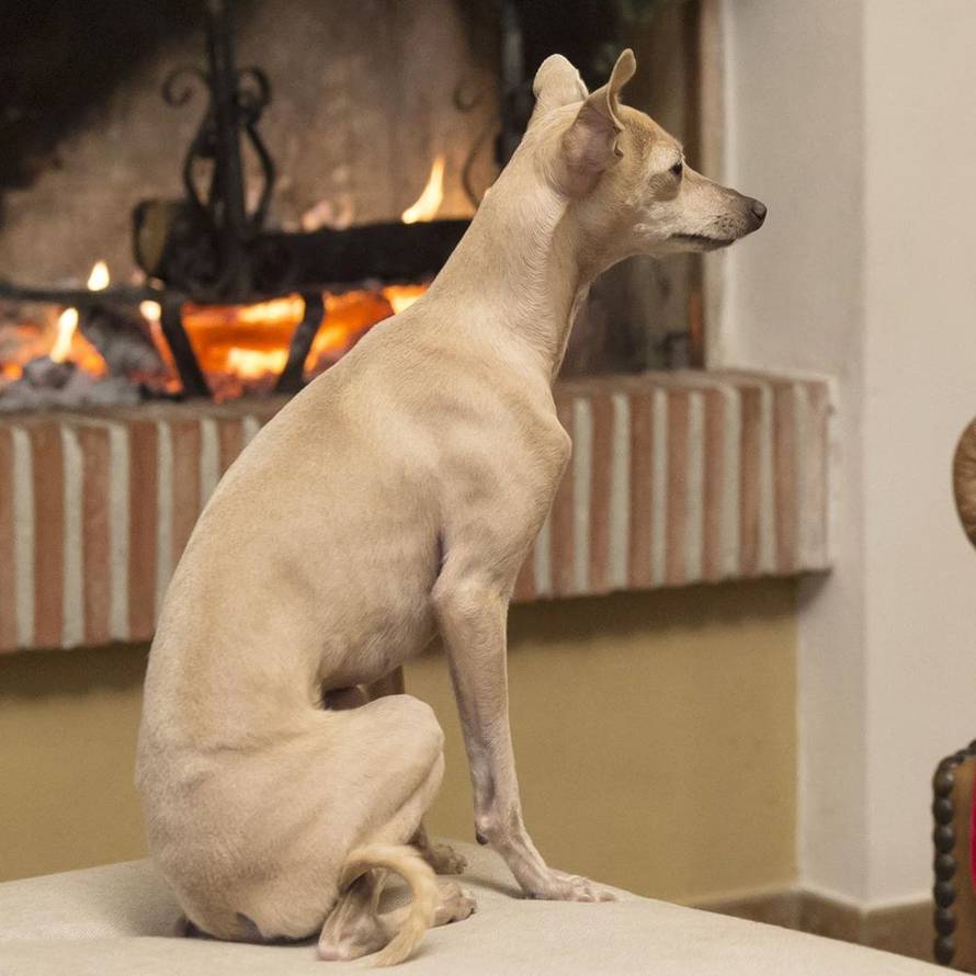 Drama na Bocellijevoj jahti, svi traže Pallinu: 'Jako smo tužni'